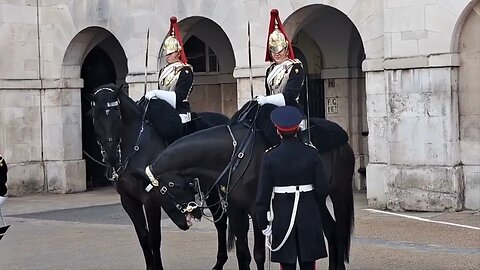 3 times the horses disgraced them self's #horseguardsparade