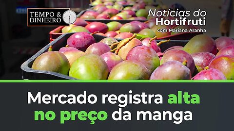 Mercado registra alta no preço da manga