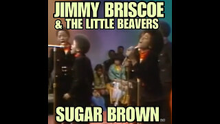 JIMMY BRISCOE & THE LITTLE BEAVERS