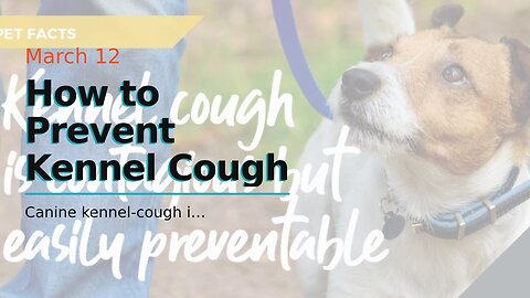 How to Prevent Kennel Cough