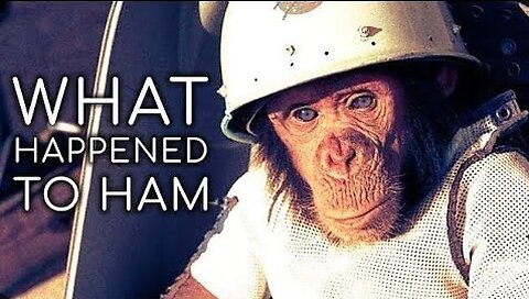 What Happened to Ham (chimpanzee) in Space? *Sad Story of Ham*