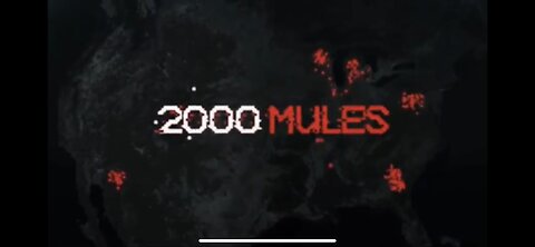 2000 Mules Documentary