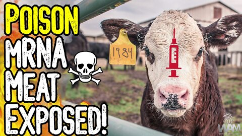 POISON mRNA MEAT EXPOSED! - They Want To Vaccinate Your FOOD! - MASS Genocide!