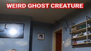 Ghost Creature Caught on Camera!