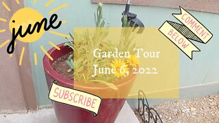 Garden Tour 6 June 2022