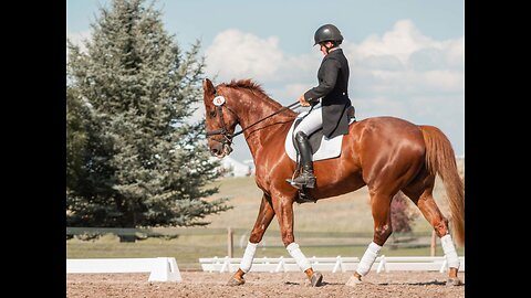 Thrilling Horse Riding Adventure