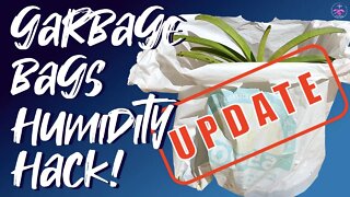 Garbage Bag Humidity Hack for Orchids in dry climates | 8 weeks Results? #ninjaorchids #dryclimate