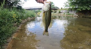 Bass Catch!!