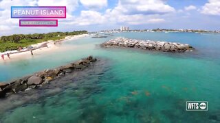 Kayaking Peanut Island in The Palm Beaches | Taste and See Tampa Bay