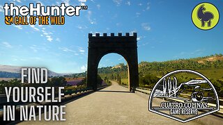 Find Yourself in Nature, Cuatro Colinas | theHunter: Call of the Wild (PS5 4K)