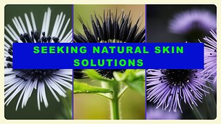 Seeking Natural Skin Solutions? Explore Black Seed Oil's Benefits