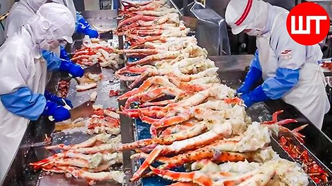 How King Crab Is Processed | Amazing King Crab Fishing Technology | Food Factory