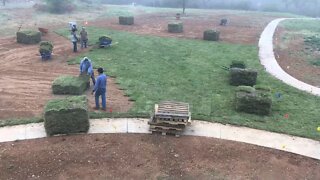 Zoysia grass install 18 pallets