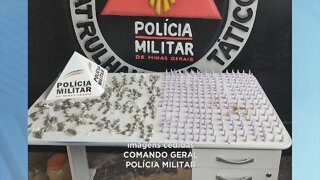 Minas Gerais e Espírito Santo: quarteto detido por tráfico de drogas após operação da Polícia