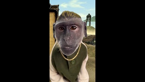 Top 5 Monkey