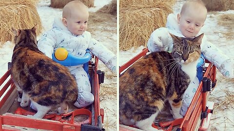 Baby and cat share adorable friendship together