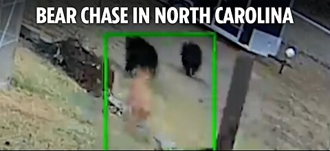 Shocking moment 20-pound dog chases three bears away