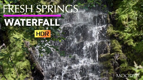 Nature Video - Fresh Start Spring Waterfall in HDR - Conquer Your Day!