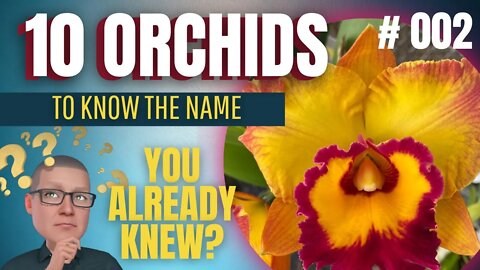 HOW TO KNOW THE NAME OF ORCHIDS | LEARN WITH FUN | # 002