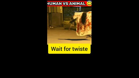 human vs animal funny viral video