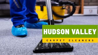 Hudson Valley Carpet Cleaners