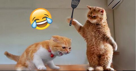 Best Funniest Cats And Dogs Video 2023 😂😺😍