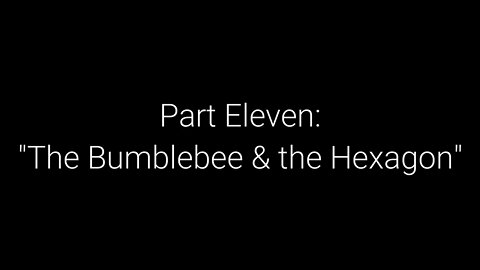 What On Earth Happened? Part 11 - The Bumblebee And The Hexagon