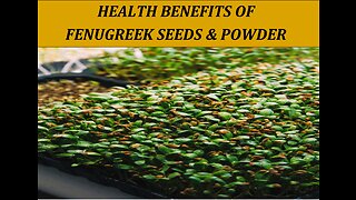 "Unlocking the Health Benefits of Fenugreek: How This Superfood Can Improve Your Health!"