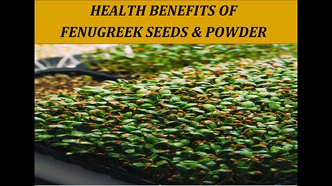 "Unlocking the Health Benefits of Fenugreek: How This Superfood Can Improve Your Health!"