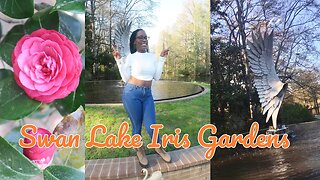 Swan Lake Iris Gardens | Sumter, SC | can’t believe we seen them 👀