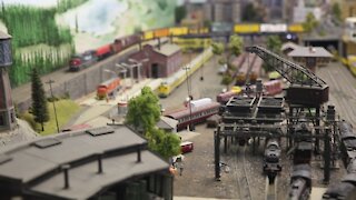 SOUTH AFRICA- Durban- Model train collectors (Pyc)