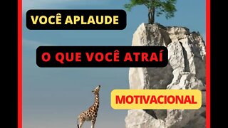 VOCÊ APLAUDE, O QUE VOCÊ ATRAI, MOTIVAÇÃO