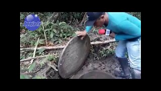 BONJA AVENTURA PARTE 1 | Desbravando Floresta Nativa em Bom Jesus do Tocantins