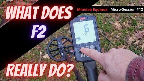 What Does F2 Really Do For The Minelab Equinox?