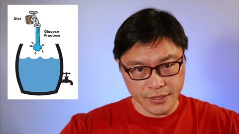 Jason Fung: b-REVERSE DIABETES TYPE 2: what to eat & what to avoid