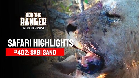 Safari Highlights #402: 23 - 25 April 2016 | Sabi Sand Wildtuin | Latest Wildlife Sightings