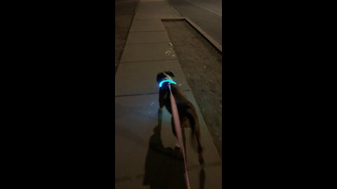 Walkin Chloe Jo nite