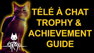 Tele A Chat - Stray - Trophy / Achievement Guide