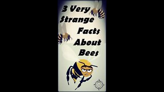 3 Very Strange Facts About Bees #Shorts