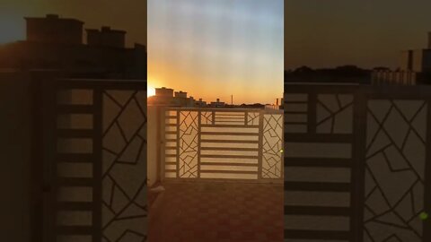 Beautiful morning #subscribe #lifeinoman #short #beautiful #oman #nature #sunrise #birdssinging