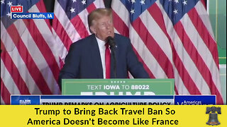 Trump to Bring Back Travel Ban So America Doesn't Become Like France