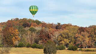 Autumn flight across rocky valley