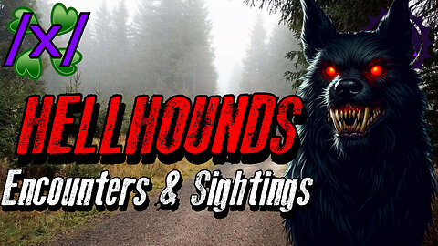 Hellhounds: Encounters & Sightings | 4chan /x/ Paranormal Greentext Stories Thread