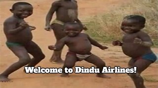 Out of Africa: Welcome to Dindu Airlines!