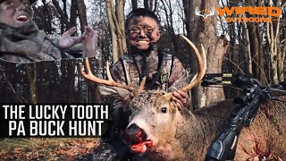 The Lucky Tooth - PA Buck Hunt