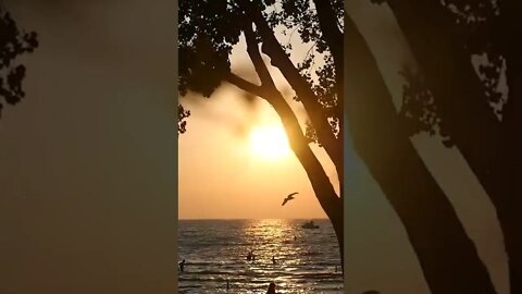 Live life. #boat #sunset #couple #nature #love #water #lake #ocean #shorts #drone