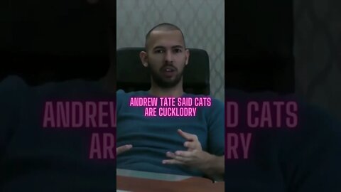 Andrew Tate said cats are cuckoldry #Shorts