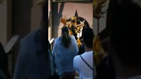 Bumblebee Grooving at Universal Studios #Shorts