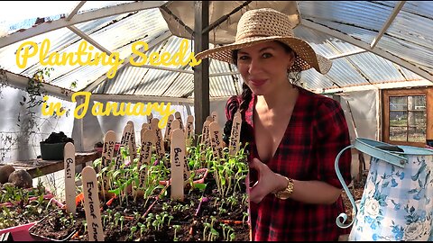 They Sprouted! Planting Seeds in January VLOG