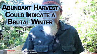 Pay Attention to Nature: Abundant Harvest Could Indicate a Brutal Winter